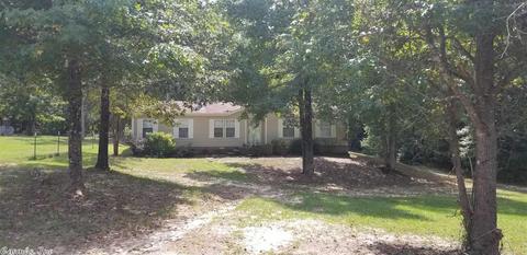 12239 Skyview Dr, Bauxite, AR 72011 photo 1