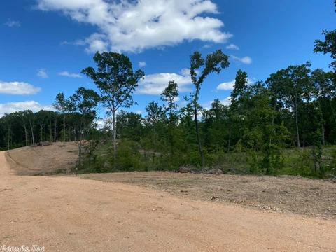371 Rigsby Loop, Lonsdale, AR 72087 photo 4