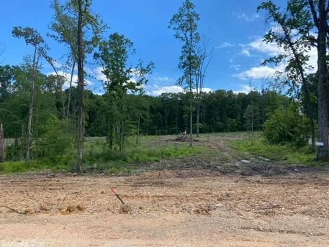 371 Rigsby Loop, Lonsdale, AR 72087 photo 5