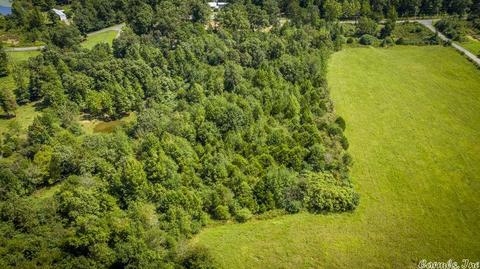 1166 Memory Ln, Clinton, AR 72031 photo 18