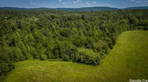 1166 Memory Ln, Clinton, AR 72031 photo 17