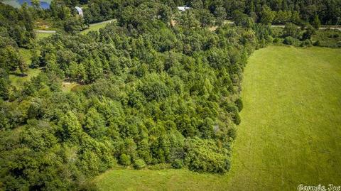 1166 Memory Ln, Clinton, AR 72031 photo 16