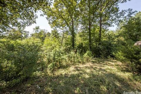 1166 Memory Ln, Clinton, AR 72031 photo 5