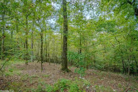 232 Nomoe Rd, Royal, AR 71968 photo 21