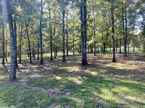 174 Genie Ln, Edgemont, AR 72044 photo 34