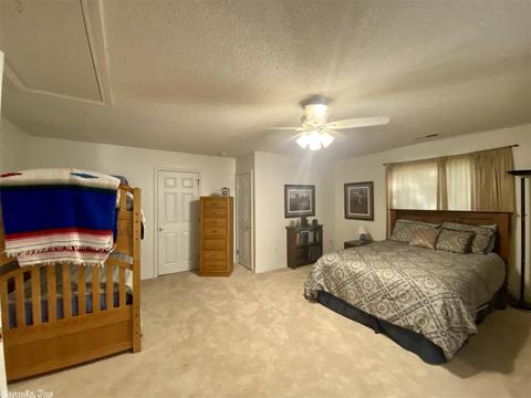174 Genie Ln, Edgemont, AR 72044 photo 27