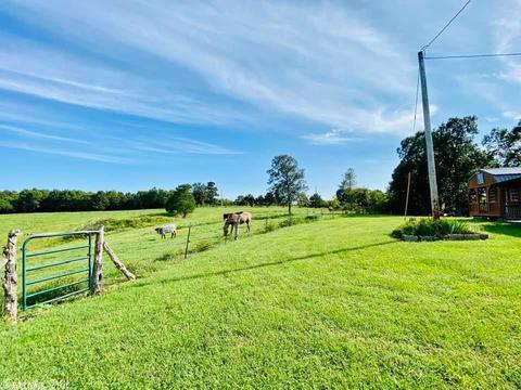 1302 Holmes Rd, Mountain View, AR 72560 photo 37