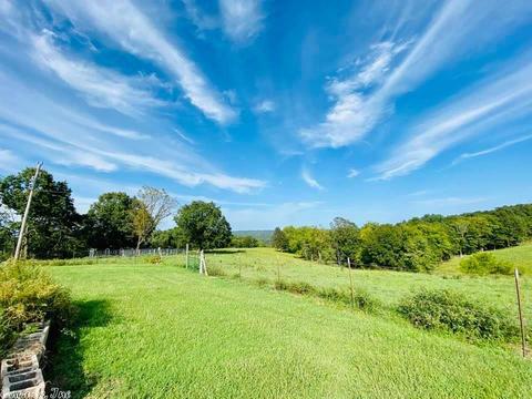 1302 Holmes Rd, Mountain View, AR 72560 photo 36