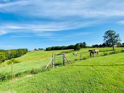 1302 Holmes Rd, Mountain View, AR 72560 photo 2