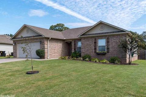 32 Winchester Dr, Austin, AR 72007 photo 2