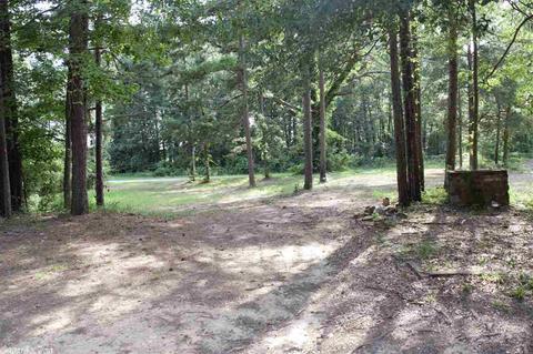236 Dingler, Amity, AR 71921 photo 18