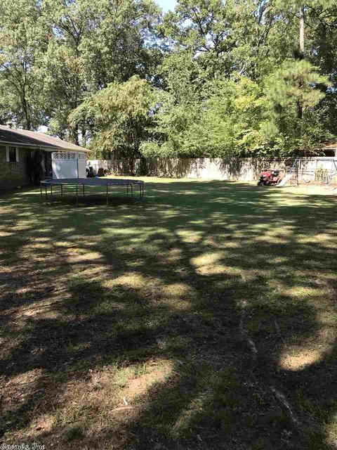 58 Sandpiper Ct, Conway, AR 72032 photo 31