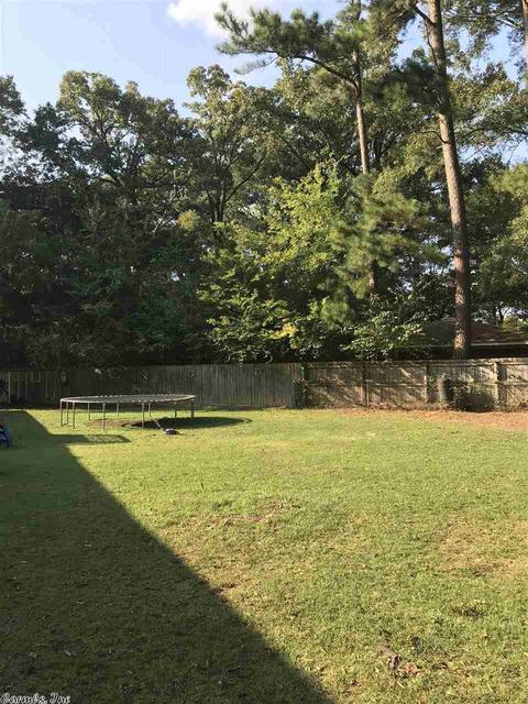 58 Sandpiper Ct, Conway, AR 72032 photo 3