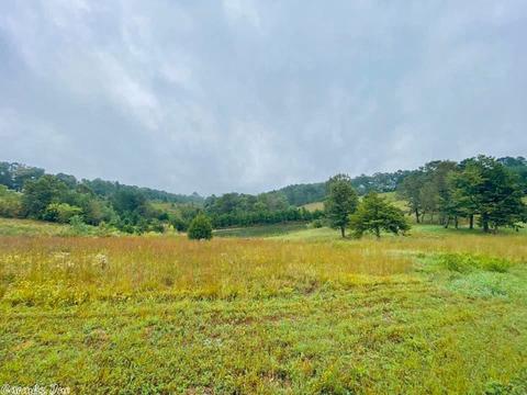 2418 Roasting Ear Rd, Onia, AR 72663 photo 39