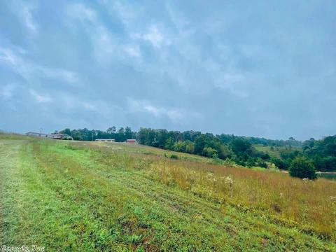 2418 Roasting Ear Rd, Onia, AR 72663 photo 23