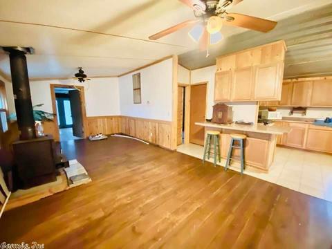 2418 Roasting Ear Rd, Onia, AR 72663 photo 4