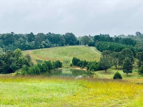 2418 Roasting Ear Rd, Onia, AR 72663 photo 37