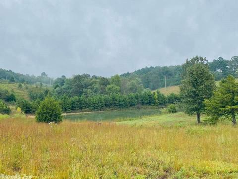 2418 Roasting Ear Rd, Onia, AR 72663 photo 38
