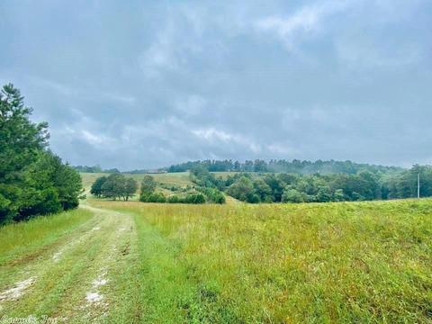 2418 Roasting Ear Rd, Onia, AR 72663 photo 24