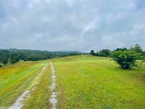 2418 Roasting Ear Rd, Onia, AR 72663 photo 2