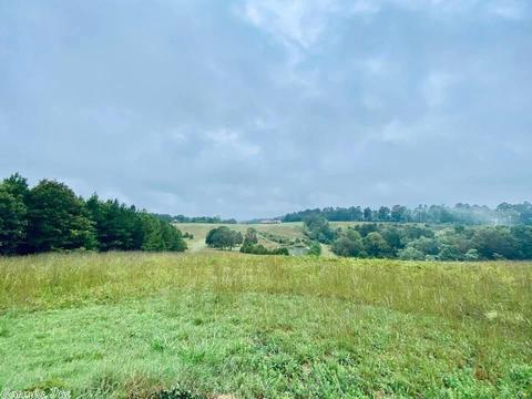 2418 Roasting Ear Rd, Onia, AR 72663 photo 26