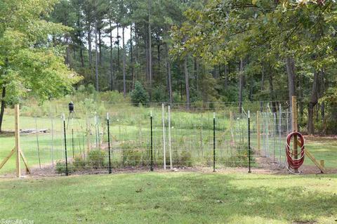 36 Brushy Cemetery Rd, Amity, AR 71921 photo 29