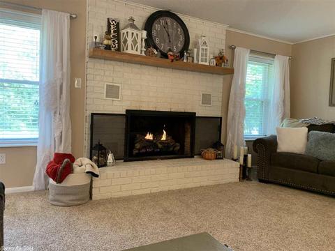 203 Watkins Ln, Mount Ida, AR 71957 photo 7