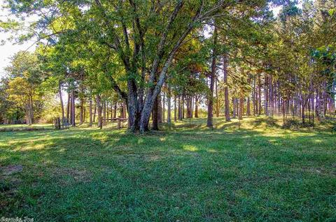 425 Cr 206, Norfork, AR 72658 photo 10