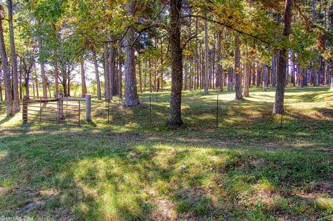 425 Cr 206, Norfork, AR 72658 photo 12