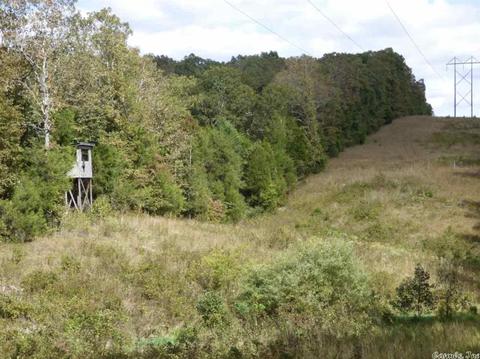 58 College Rd, Williford, AR 72482 photo 4