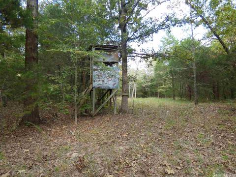 58 College Rd, Williford, AR 72482 photo 2