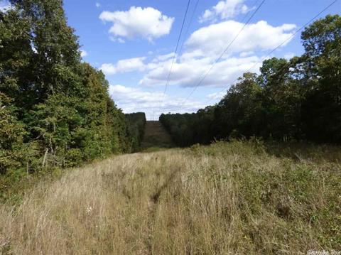 58 College Rd, Williford, AR 72482 photo 3