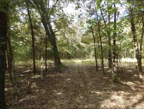 58 College Rd, Williford, AR 72482 photo 5