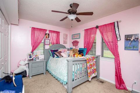12014 Floresta Ln, Alexander, AR 72002 photo 19