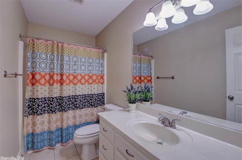 10 Violet Cv, Cabot, AR 72023 photo 21