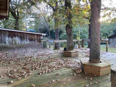 443 Luzerne St, Mount Ida, AR 71957 photo 4