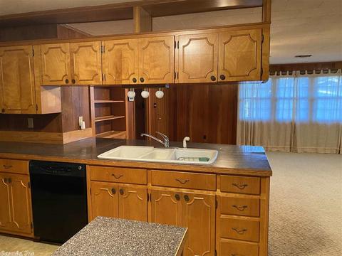 443 Luzerne St, Mount Ida, AR 71957 photo 11