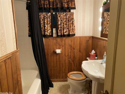 443 Luzerne St, Mount Ida, AR 71957 photo 25