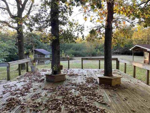 443 Luzerne St, Mount Ida, AR 71957 photo 3