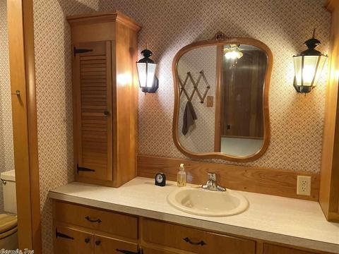 443 Luzerne St, Mount Ida, AR 71957 photo 19