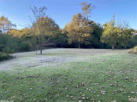 443 Luzerne St, Mount Ida, AR 71957 photo 7
