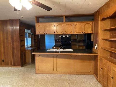 443 Luzerne St, Mount Ida, AR 71957 photo 10