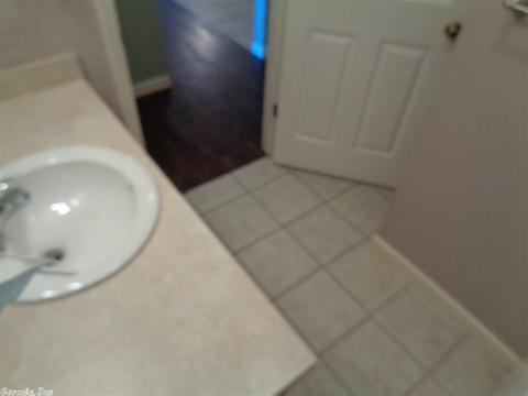 100 Pine Cone Dr, Bismarck, AR 71929 photo 34