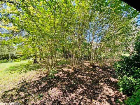 606 Ledges Rd, Mountain View, AR 72560 photo 9