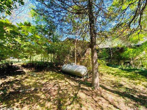 606 Ledges Rd, Mountain View, AR 72560 photo 13