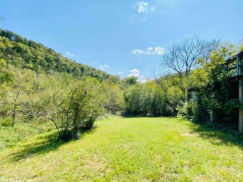 606 Ledges Rd, Mountain View, AR 72560 photo 16