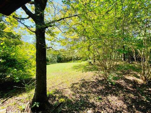 606 Ledges Rd, Mountain View, AR 72560 photo 5