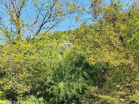 606 Ledges Rd, Mountain View, AR 72560 photo 15