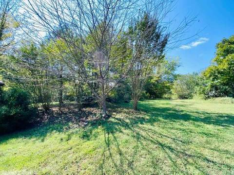 606 Ledges Rd, Mountain View, AR 72560 photo 12
