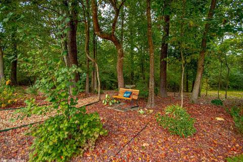 130 Madrid, Benton, AR 72015 photo 34